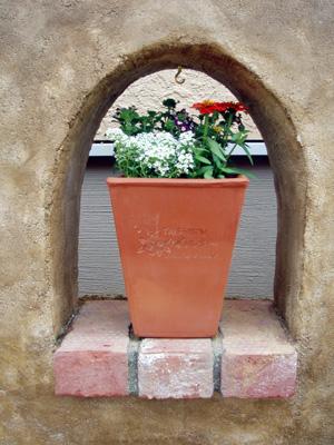 「ＴＡＩＳＨＩＥＮ（大志園）」のロゴ入りの寄せ植えの鉢をプレゼント。 ワンポイントに壁の窓に置いていただきました。
